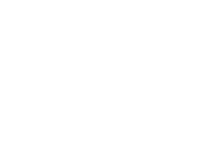 Evolution games at Winning Kings Casino